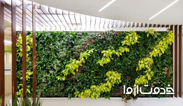گیاهان مناسب برای گرین وال