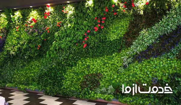 گیاهان مناسب برای گرین وال
