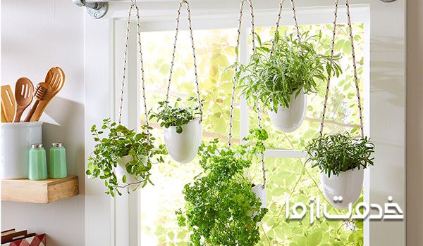 تزیین منزل با گل طبیعی