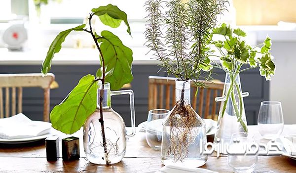 چیدمان گل در خانه