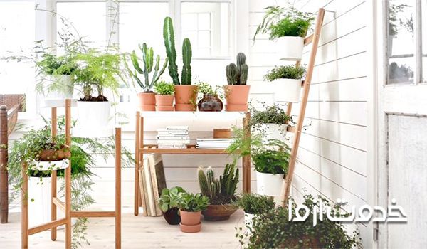 استفاده از استند در تزیین منزل با گل طبیعی