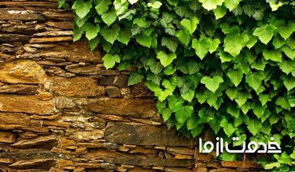 دیوار سنگی برای ساختمان 