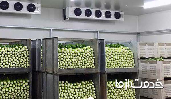 مراحل ساخت سردخانه میوه