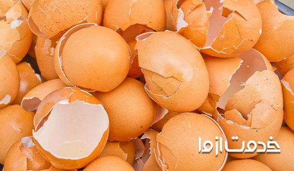 پوست تخم‌ مرغ و تهیه آفت کش‌های ارگانیک