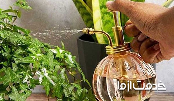 روغن مایع یک آفت کش خانگی