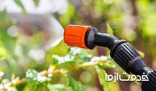 کاربرد نمک برای تهیه آفت کش‌ های خانگی