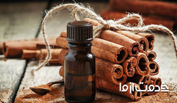 کاربرد دارچین در تهیه آفت کش‌ های ارگانیک