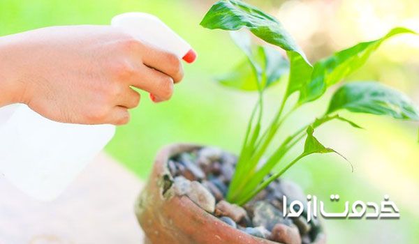 کاربرد آفت کش های ارگانیک