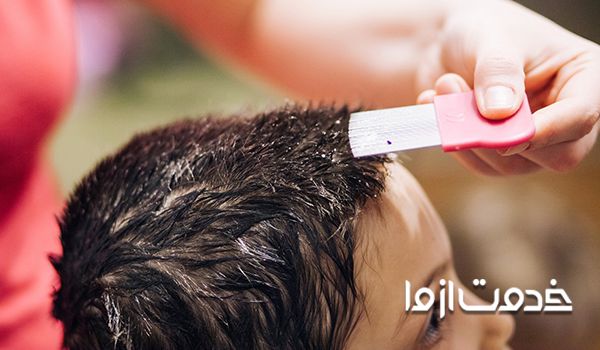 همه چیز درباره شپش موی سر