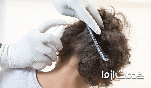 نکات مهم سمپاشی شپش 