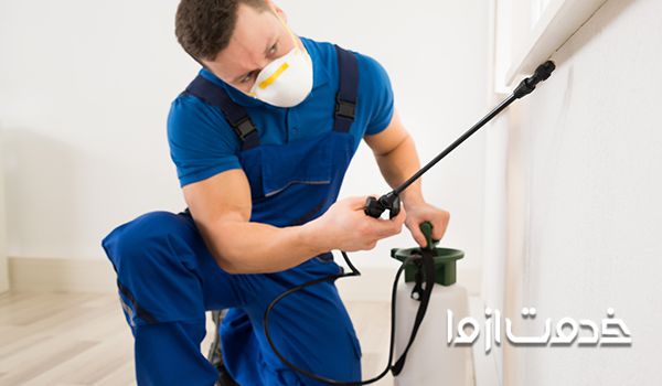 نکات مهم سمپاشی منزل شپش 