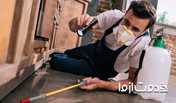 بهترین راه سمپاشی مگس