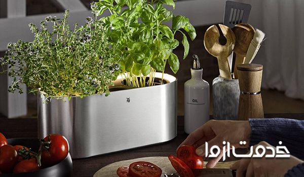 سبزی کاری در آپارتمان به صورت گام به گام