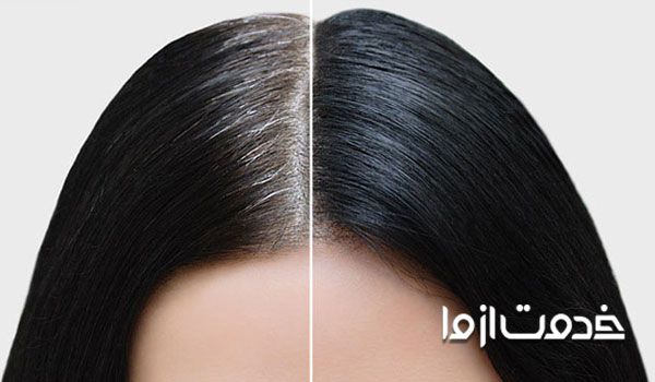 بهترین شامپو برای سیاه شدن موهای سفید