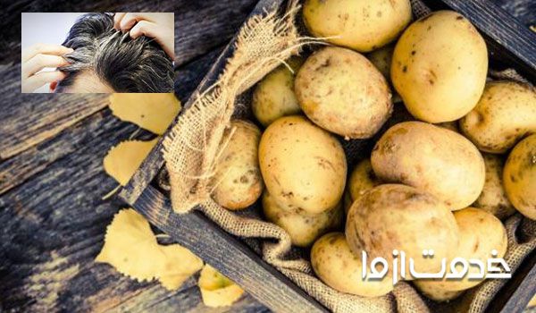 چگونه موهای سفید را از بین ببریم