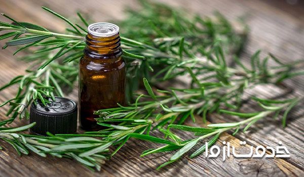 سیاه کردن مو سفید با گیاه رزماری