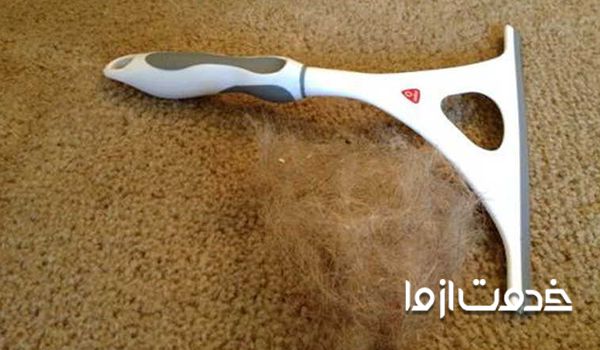 ۷ راهکار ساده جمع کردن مو از روی فرش