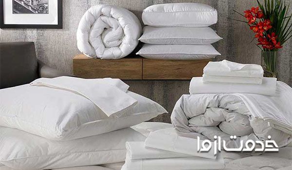 خلاص شدن از حشرات موذی رختخواب در خانه