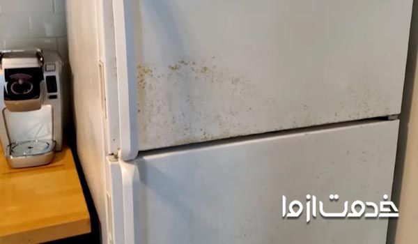 تعمیر زنگ زدگی درب یخچال