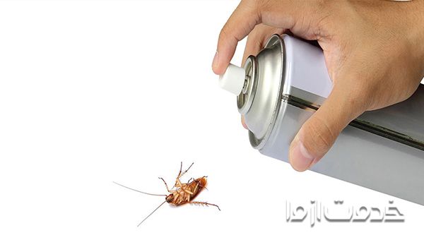 نحوه سمپاشی سوسک