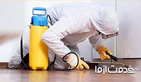 بهترین زمان سمپاشی خانه