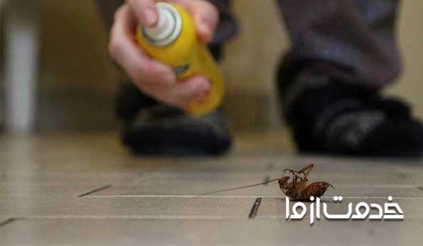 هزینه خرید بهترین سم برای سمپاشی منزل