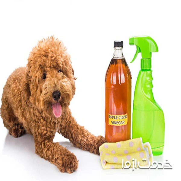 از بین بردن کنه با سرکه برای حیوانات خانگی