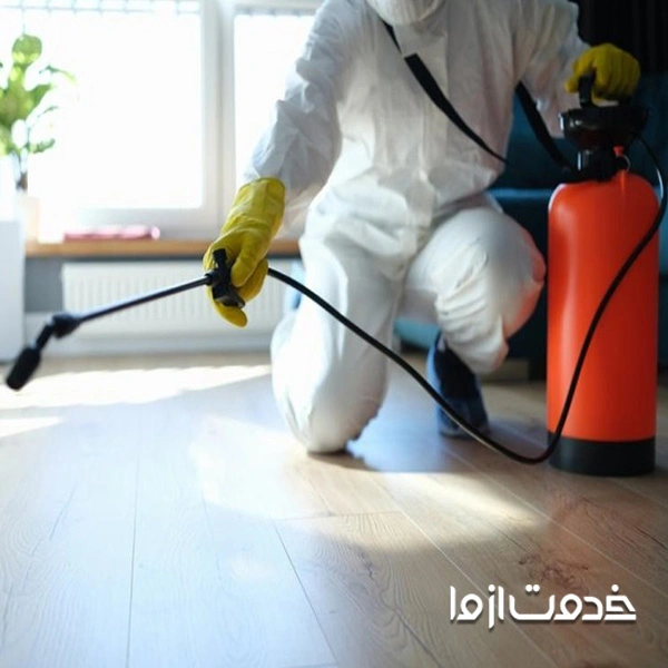 بهترین سم برای از بین بردن کنه چیست؟ 