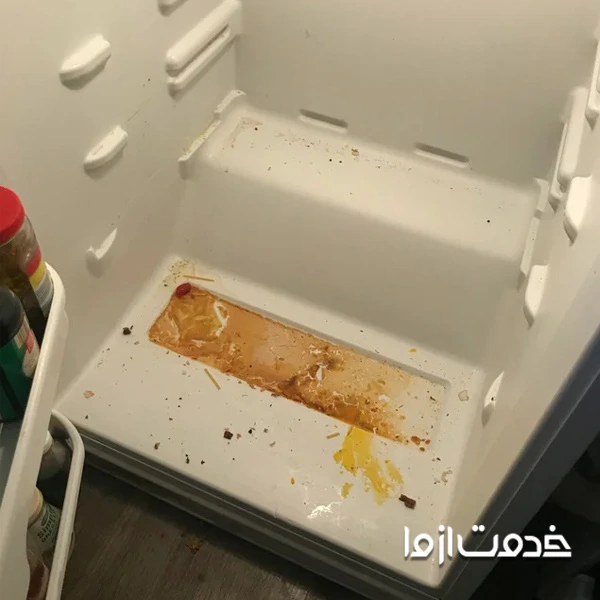 بو و اثر غذا در یخچال