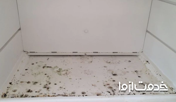 تمیز کردن اثر کپک در یخچال 