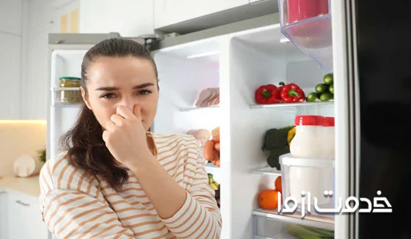 از بین بردن بوی بد یخچال