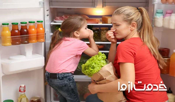 روش های رفع بوی بد یخچال