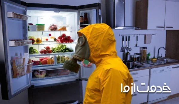 از بین بردن بوی گوشت گندیده در یخچال