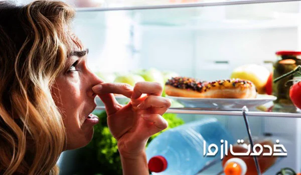 سریع ترین روش رفع بوی بد یخچال