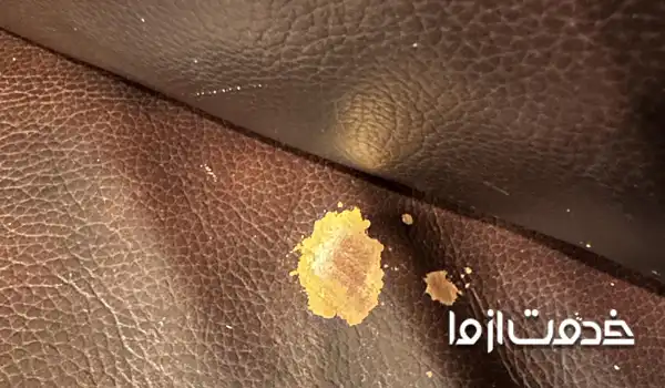 از بین بردن لکه وایتکس از روی انواع مبل