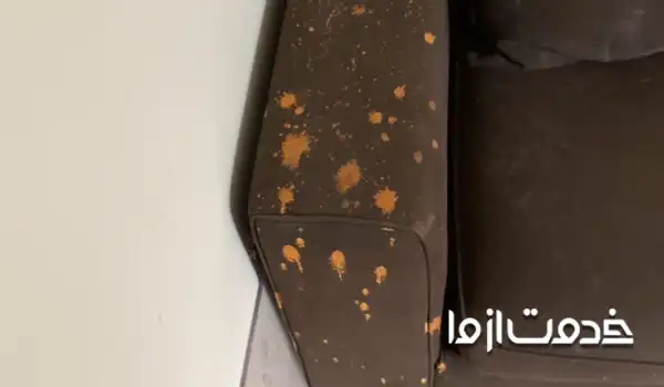 راه های از بین بردن لکه وایتکس از روی مبل