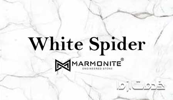 مدل وایت اسپایدر در رنگ بندی مارمونایت