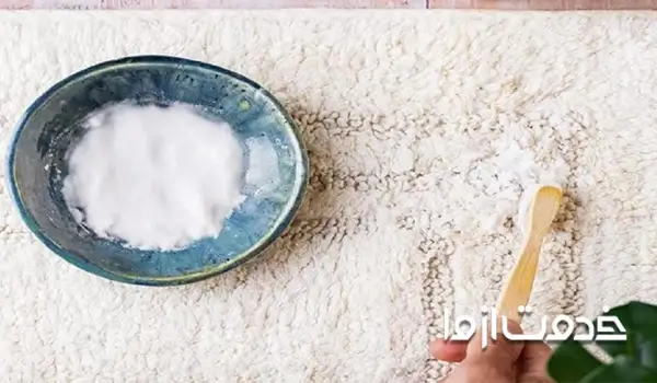 جایگزین شامپو فرش