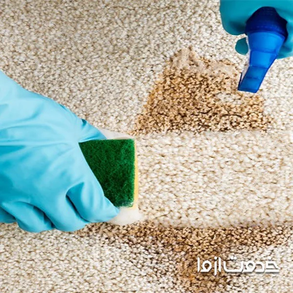 بهترین محلول برای شستن فرش در خانه