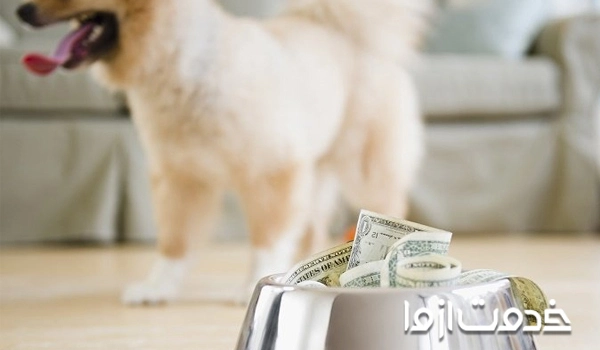 حداقل و حداکثر هزینه نگهداری سگ
