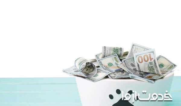 هزینه غذا و مکمل سگ 