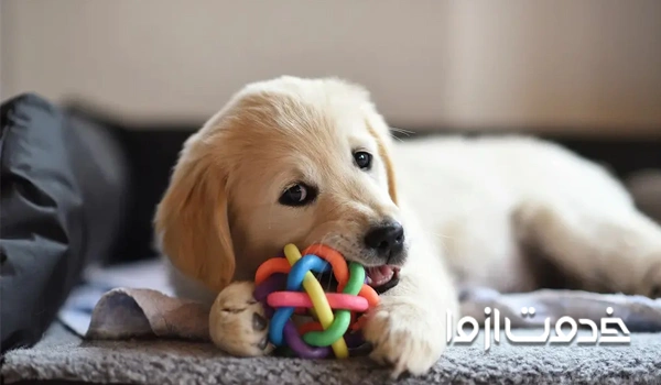 استفاده از اسباب بازی های مناسب