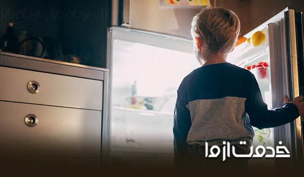 جلوگیری از باز ماندن طولانی مدت درب یخچال