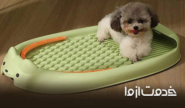 وسایل نگهداری سگ خانگی در منزل