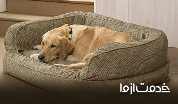 فهرست وسایل نگهداری سگ