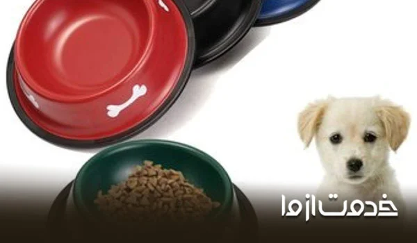 چک لیست وسایل مورد نیاز نگهداری سگ