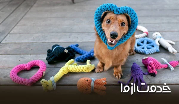 ضروری ترین وسایل برای نگهداری از سگ ها