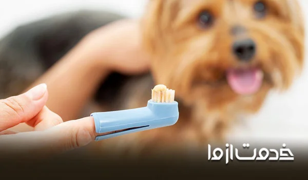 فهرست کامل وسایل نگهداری از سگ