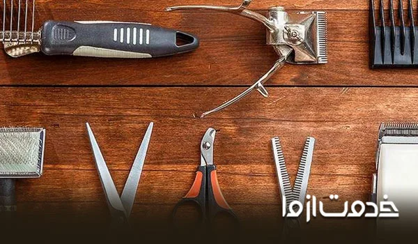 برای نگهداری از سگ به چه وسایلی نیاز داریم؟