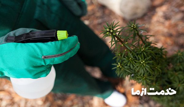 سمپاشی گل و گیاه